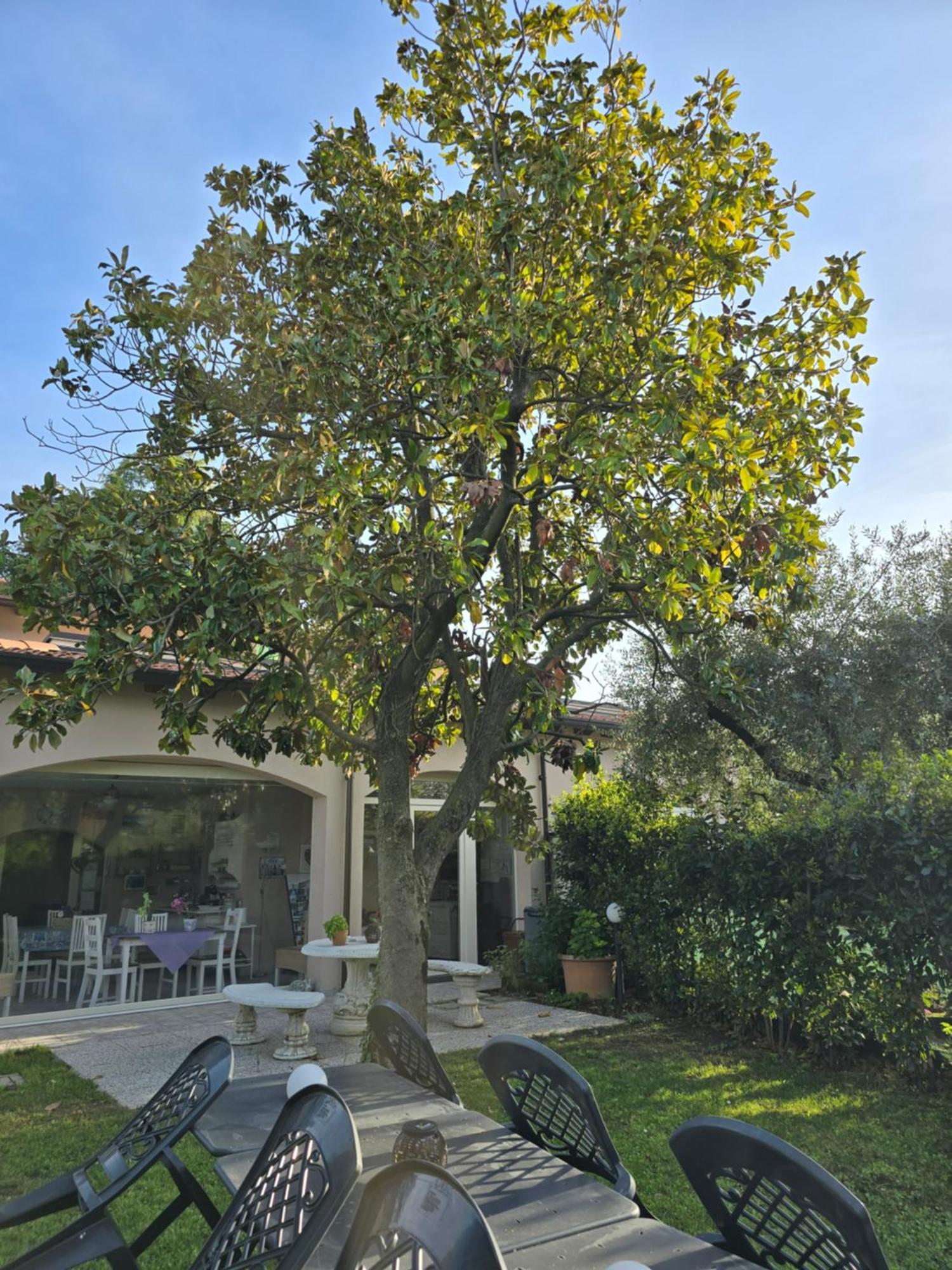 Villa Indipendente A Pochi Passi Dal Lago سان فيليتْشي ديل بيناكو المظهر الخارجي الصورة