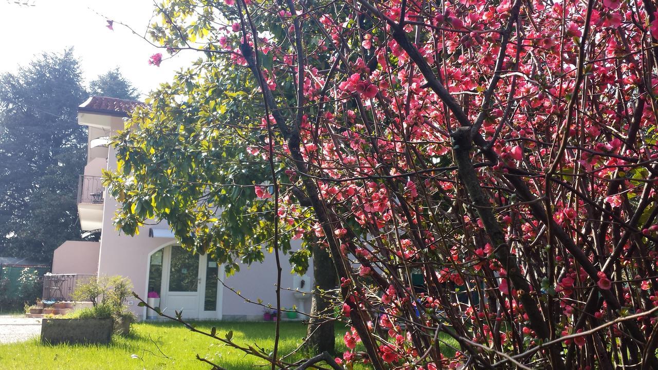 Villa Indipendente A Pochi Passi Dal Lago سان فيليتْشي ديل بيناكو المظهر الخارجي الصورة